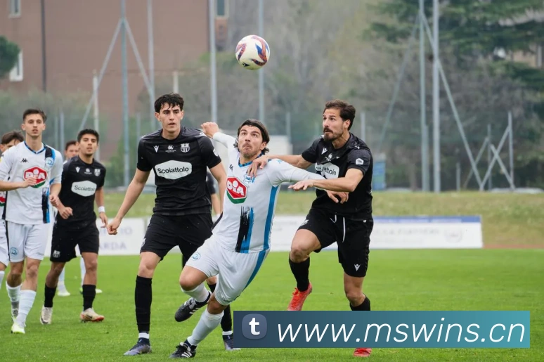 kaiyun官网登录地址APP 封面图